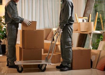 Profesional Movers In Dubai