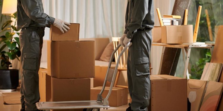 Profesional Movers In Dubai