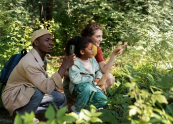 A Guide to Nurturing Trees: Essential Tips for Homeowners