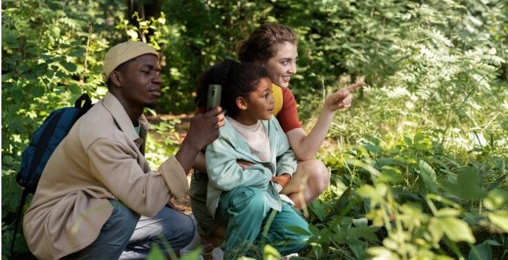 A Guide to Nurturing Trees: Essential Tips for Homeowners