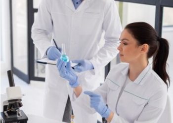 Mold Testing in Clearwater, Florida: An Indispensable Practice for Healthy Environments