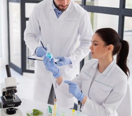 Mold Testing in Clearwater, Florida: An Indispensable Practice for Healthy Environments