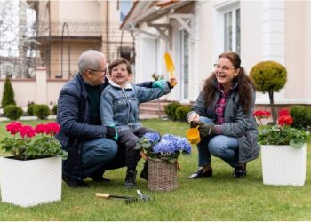 Transforming Your Backyard: Ideas for Canadians in Ontario  