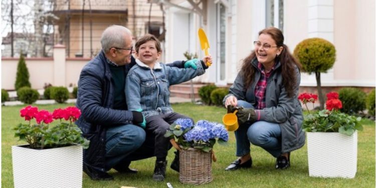 Transforming Your Backyard: Ideas for Canadians in Ontario