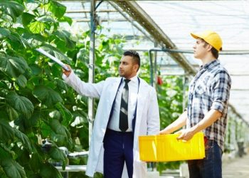Farm Sheds: Finding the Perfect Storage Solution for Your Agricultural Needs