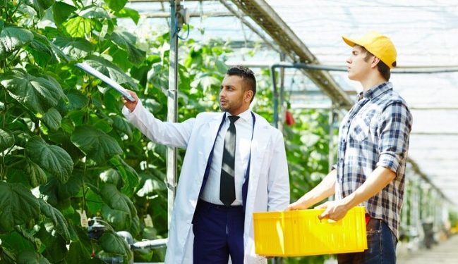 Farm Sheds: Finding the Perfect Storage Solution for Your Agricultural Needs