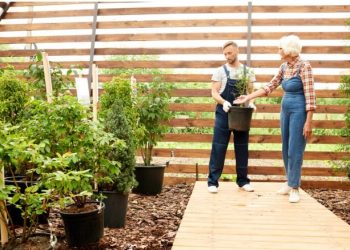 5 Essential Elements of Commercial Landscaping for a Professional Business Image