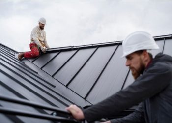 Roof Deck Materials: The Ultimate Guide for Building Over a Flat Roof