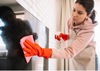 Keeping Your Kitchen Sparkling: The Importance of Professional Oven Cleaning