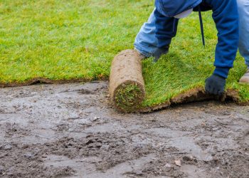 The Impact of Landscaping on the Environment