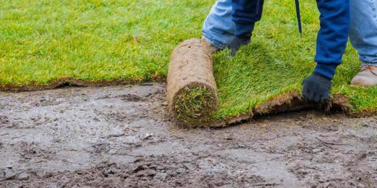 The Impact of Landscaping on the Environment