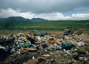 Efficient Land Clearing Solutions for Developers in Asheboro, NC