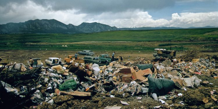 Efficient Land Clearing Solutions for Developers in Asheboro, NC