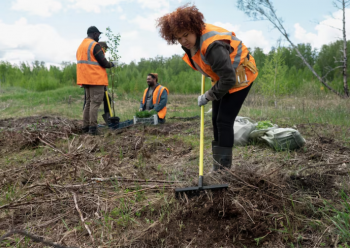 Environmental Remediation: Protecting Communities and Restoring Land