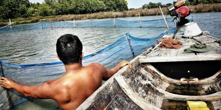 Discover the Ultimate Adventure with Los Sueños Sportfishing Charters