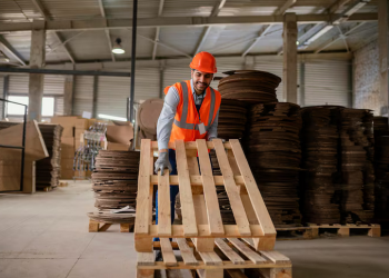Plastic Pallets: A Complete Guide to Durable, Hygienic, and High-Performance Shipping Solutions