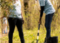 Why Hiring a Professional for Landscape Design Makes All the Difference