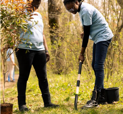 Why Hiring a Professional for Landscape Design Makes All the Difference